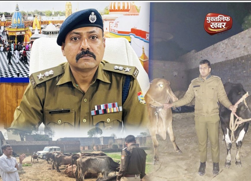 गन्ने के खेत मे गौकशी की साजिश नाकाम, पुलिस की रेड से मची भगदड़..