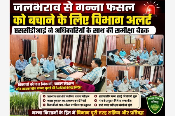 जलभराव से गन्ना फसल को बचाने के लिए विभाग अलर्ट, एससीडीआई ने अधिकारियों के साथ की समीक्षा बैठक