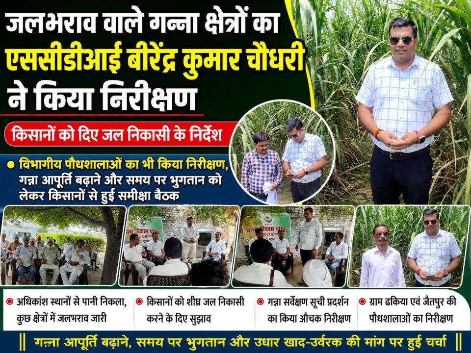 जलभराव वाले गन्ना क्षेत्रों का एससीडीआई बीरेंद्र कुमार चौधरी ने किया निरीक्षण, किसानों को दिए जल निकासी के निर्देश