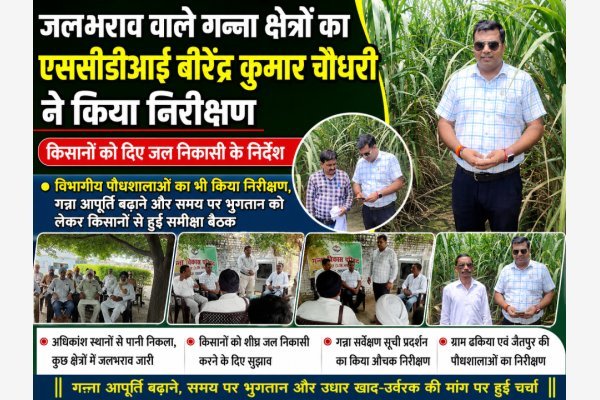 जलभराव वाले गन्ना क्षेत्रों का एससीडीआई बीरेंद्र कुमार चौधरी ने किया निरीक्षण, किसानों को दिए जल निकासी के निर्देश