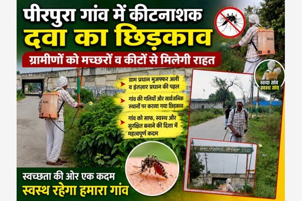 पीरपुरा गांव में कीटनाशक दवा का छिड़काव, ग्रामीणों को मच्छरों व कीटों से मिलेगी राहत