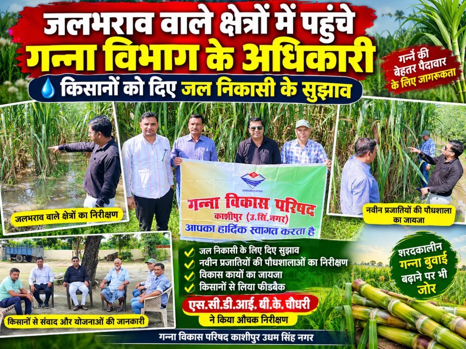जलभराव वाले क्षेत्रों में पहुंचे गन्ना विभाग के अधिकारी, किसानों को दिए जल निकासी के सुझाव