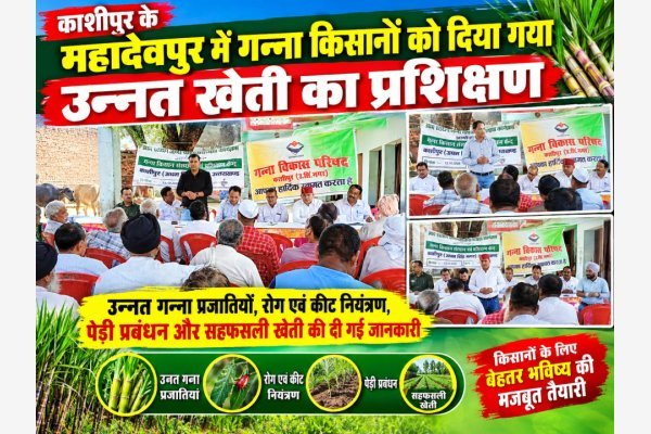 काशीपुर के महादेवपुर में गन्ना किसानों को दिया गया उन्नत खेती का प्रशिक्षण